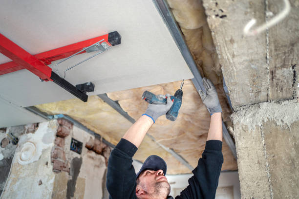 Construction worker remodeling home